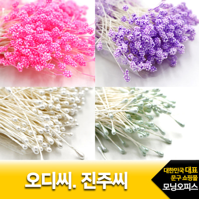 꽃씨시리즈 오디씨 진주씨 선택 소포장 1팩 /KOMO